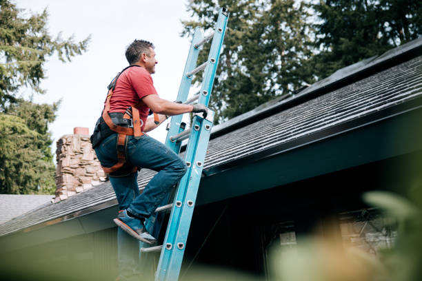 Best Roof Ventilation Installation  in West Falls Church, VA